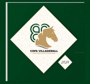 logovillagemall2024-300x278 CSN5* COPA VILLAGEMALL -  07 A 10 DE NOVEMBRO DE 2024