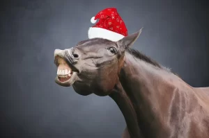 depositphotos_36920491-stock-photo-christmas-horse-with-hat-300x199 FELIZ NATAL E PROSPERO ANO NOVO !!!!!